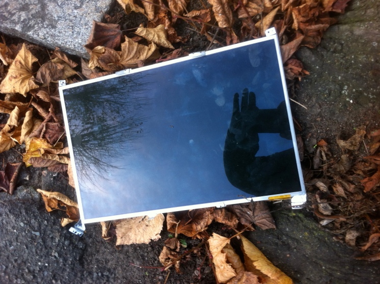 Small screen - leaves hand reflection